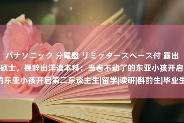 パナソニック 分電盤 リミッタースペース付 露出・半埋込両用形 31岁女硕士，裸辞出洋读本科：当卷不动了的东亚小孩开启第二东谈主生|留学|读研|斟酌生|毕业生|硕士学位