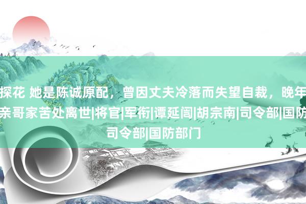 探花 她是陈诚原配，曾因丈夫冷落而失望自裁，晚年寄居亲哥家苦处离世|将官|军衔|谭延闿|胡宗南|司令部|国防部门